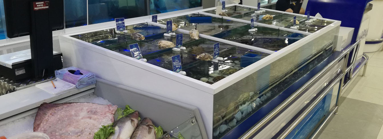 торговые аквариумы для продажи живой рыбы